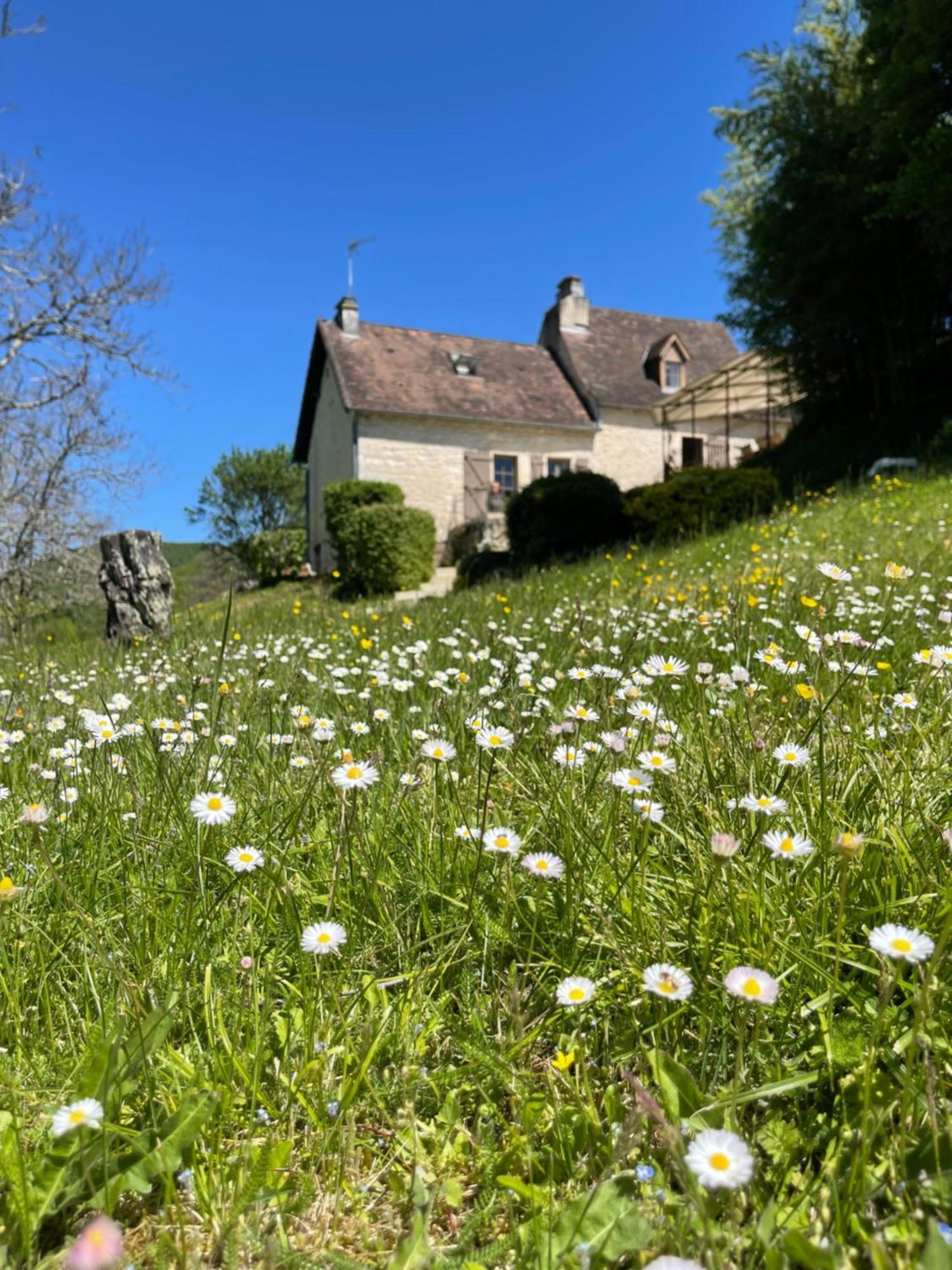 Domaine Du Bonheur En Pierre Avec Piscine, Proche Sarlat Villa Carlux ภายนอก รูปภาพ